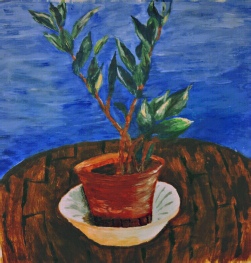 Grön växt på runt bord